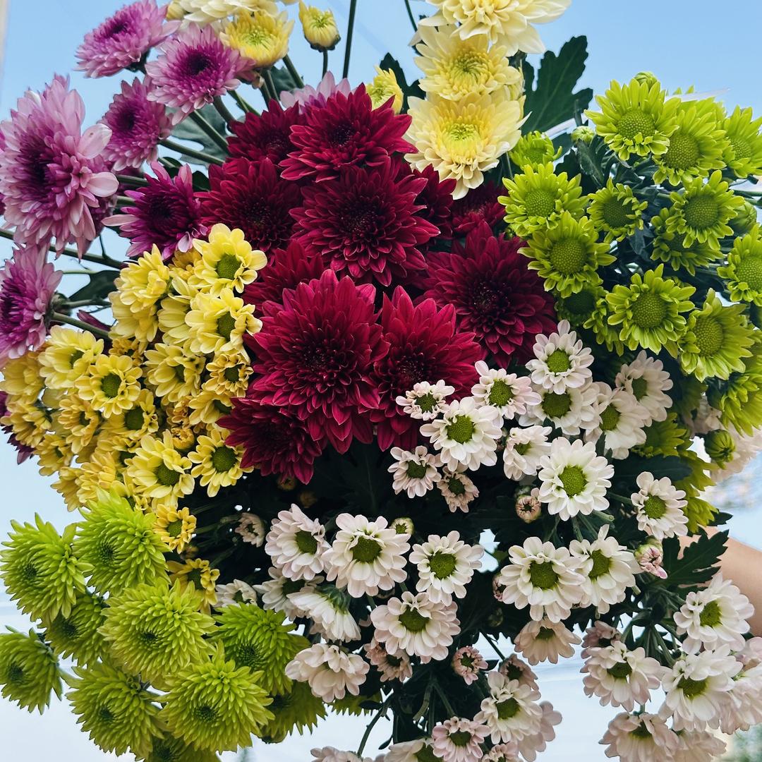 雪缘花坊