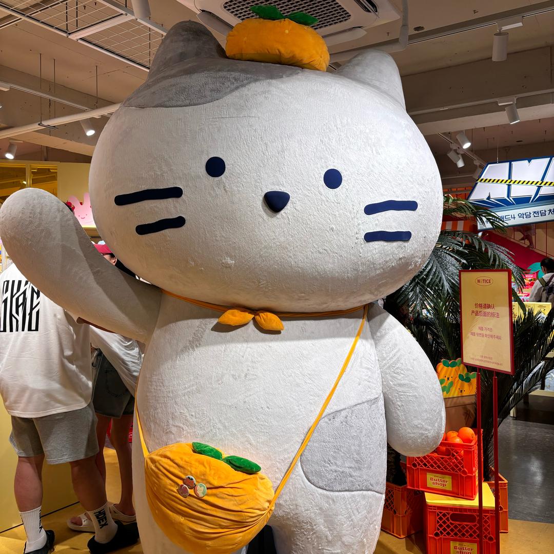 桔子爱玩吖