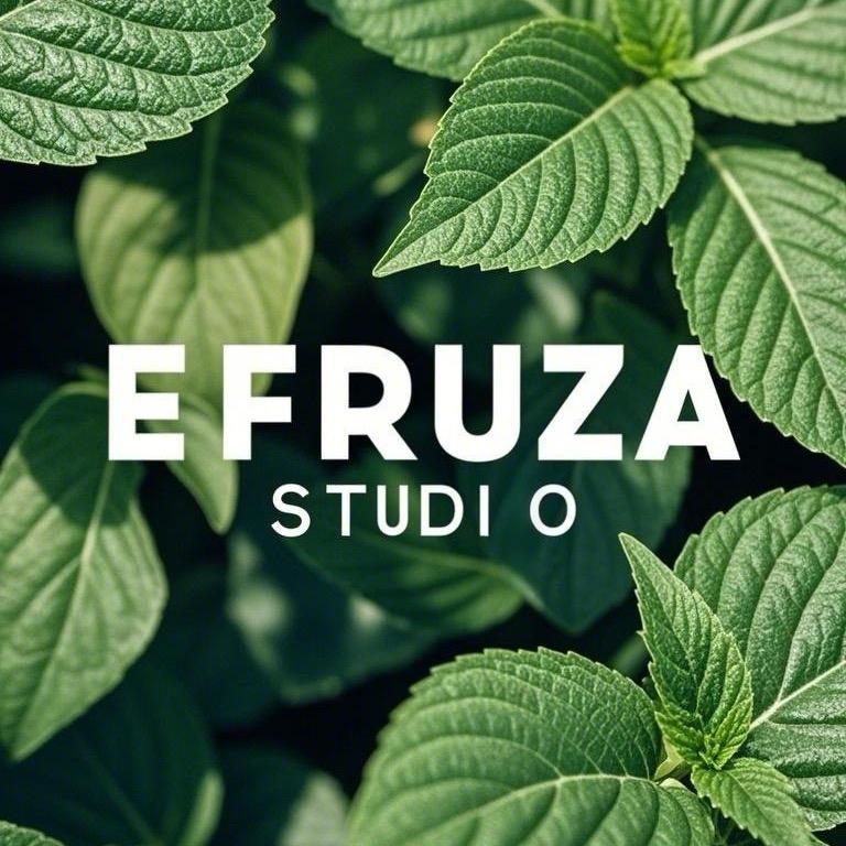 Efruza Studio