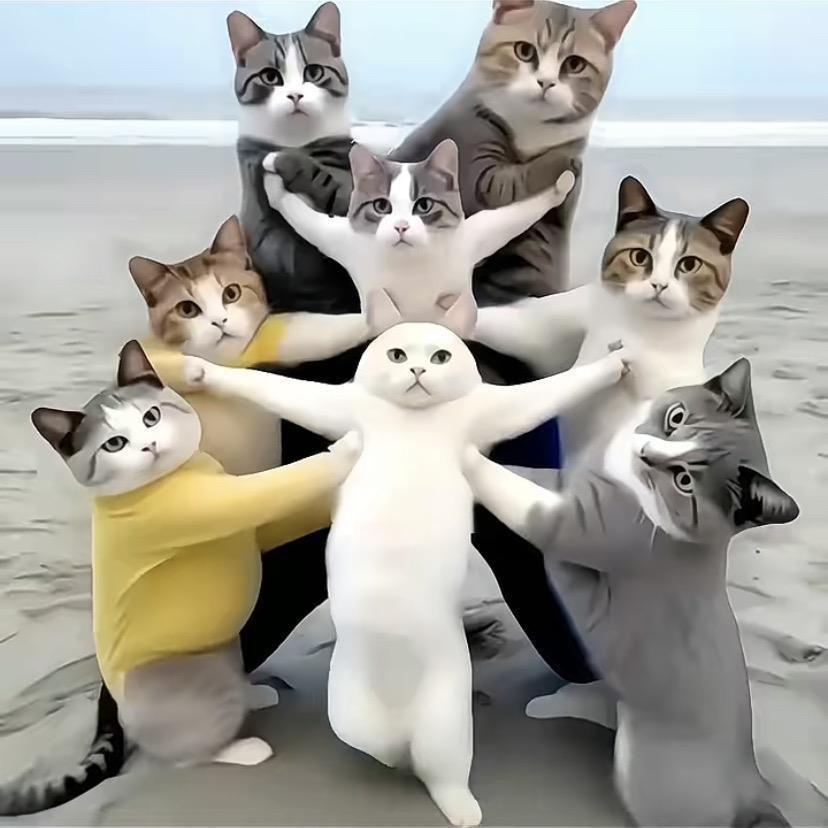 橘子.