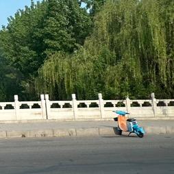 成冬网络