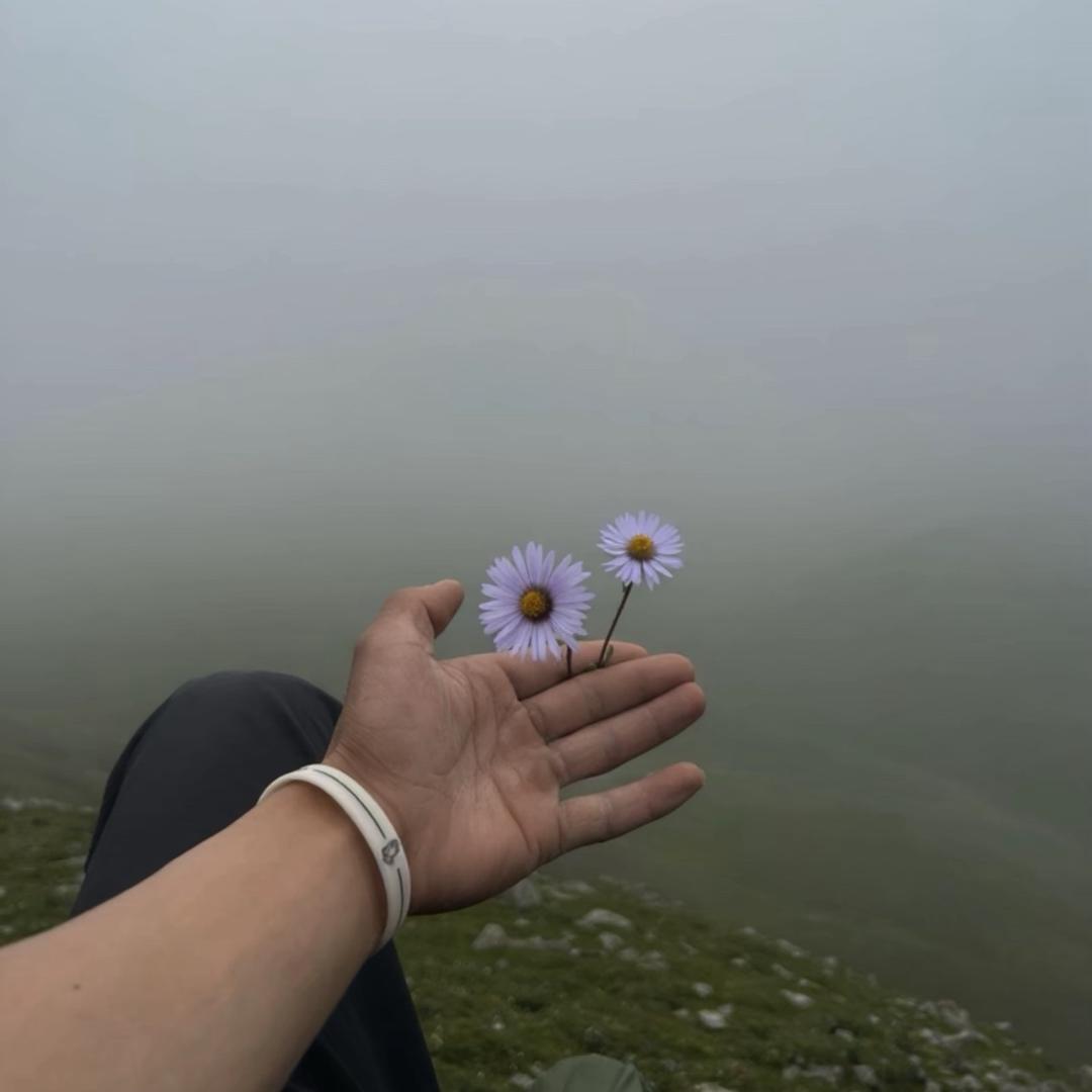 རྒྱ་རྡོ、旦-HR.🚸