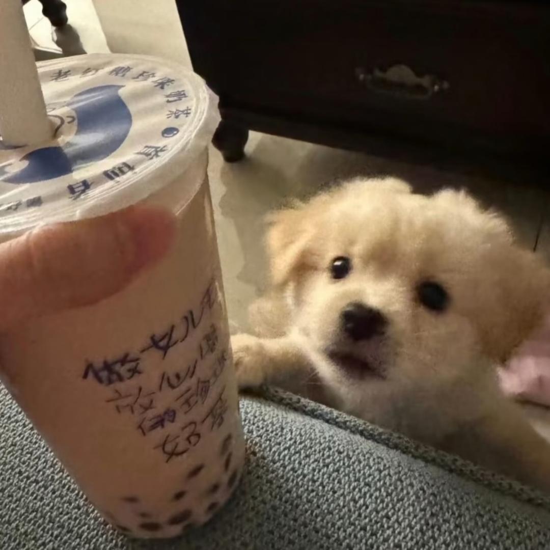 白开开开开开开水.