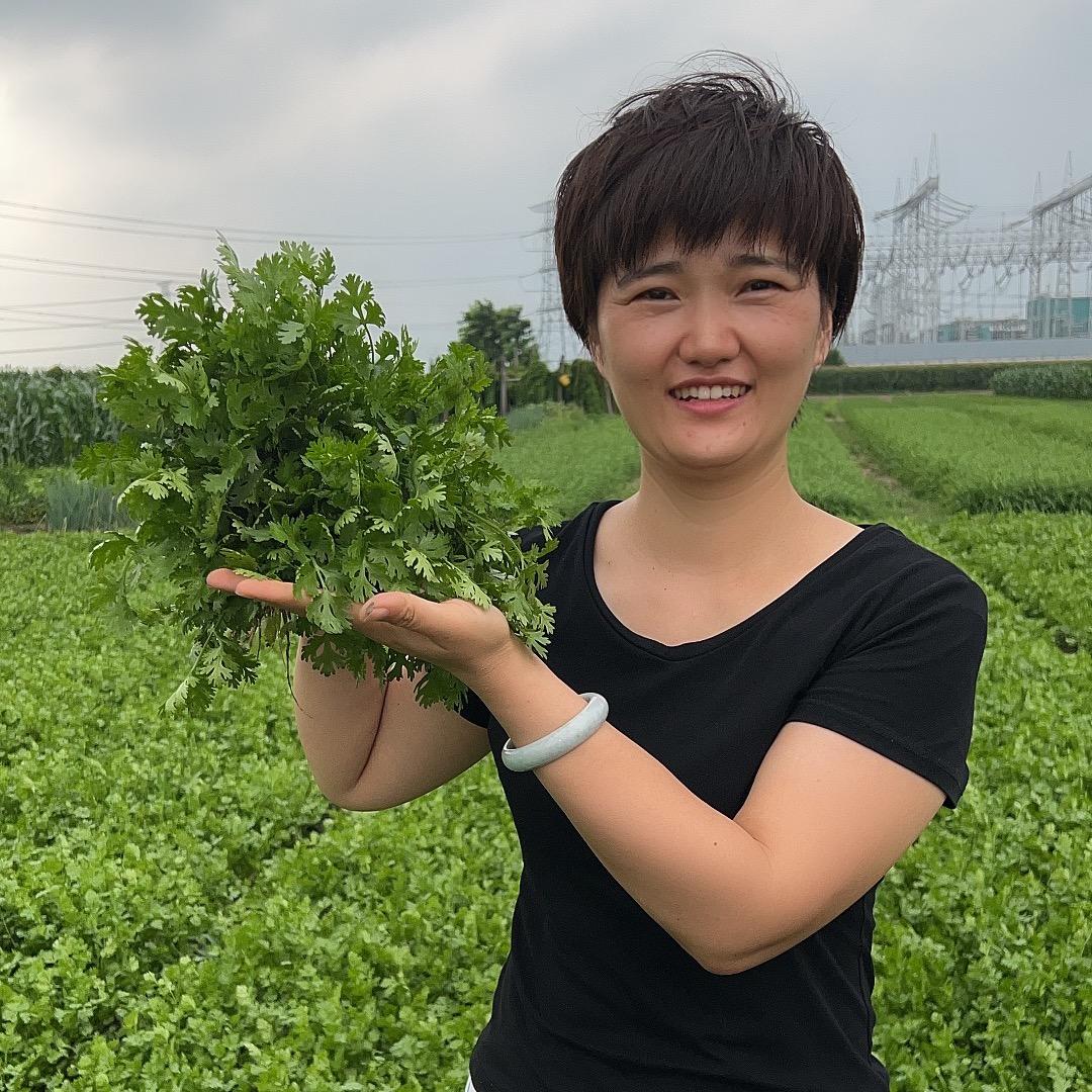 菜乡大妮