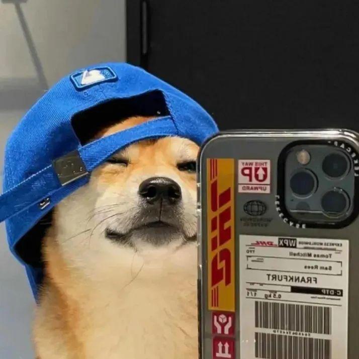 🌈想吃烤鸡腿🌈