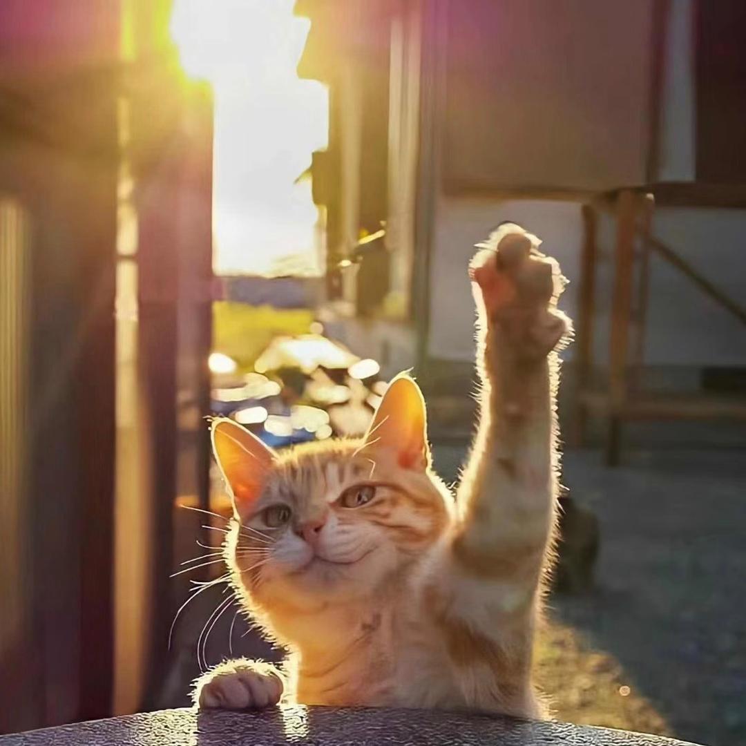 Gary