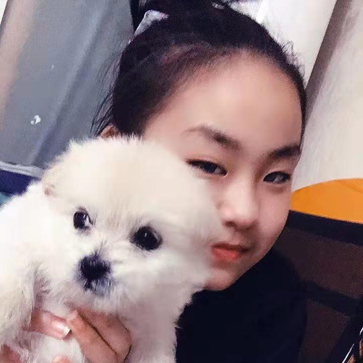 张贵
