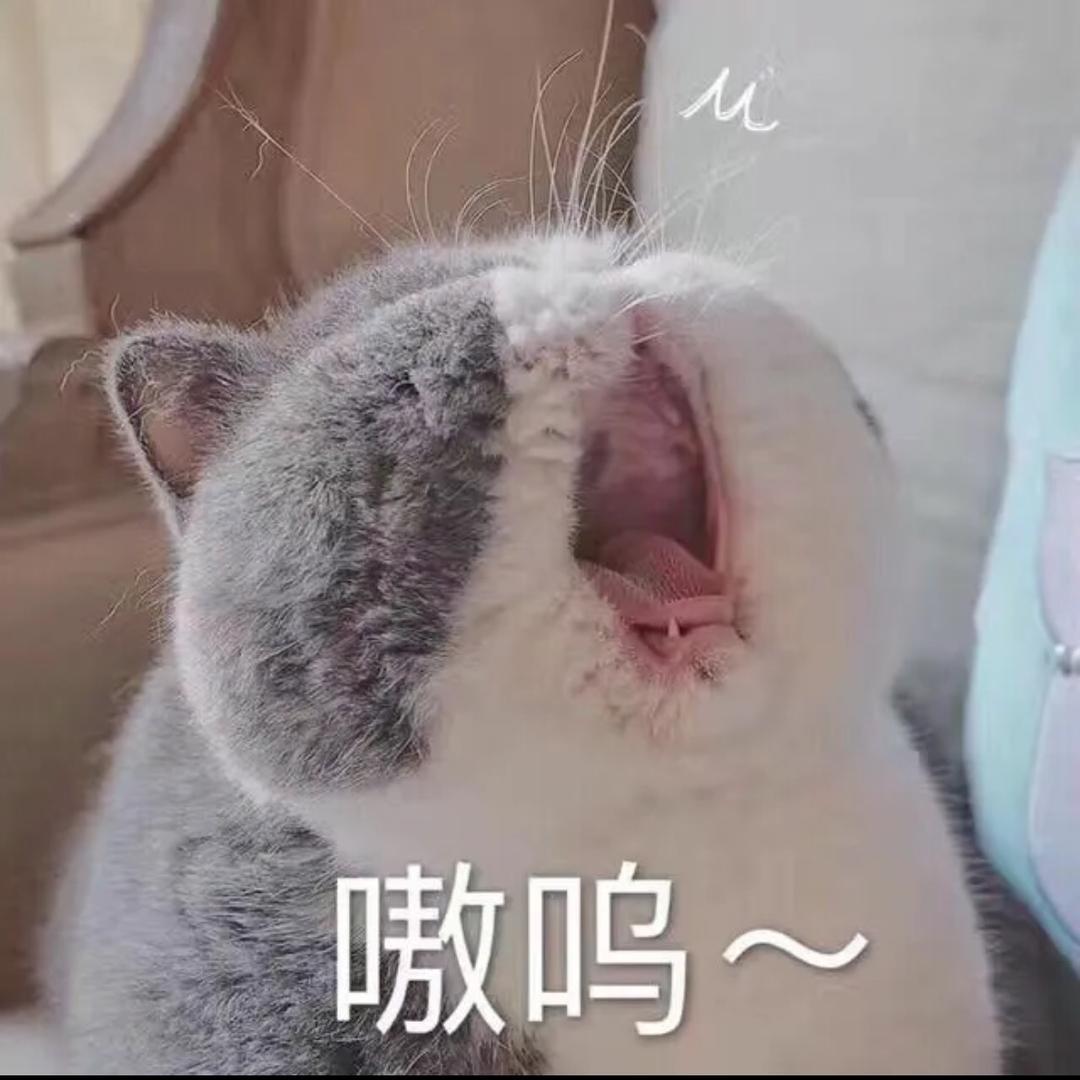 嗷嗷乱叫