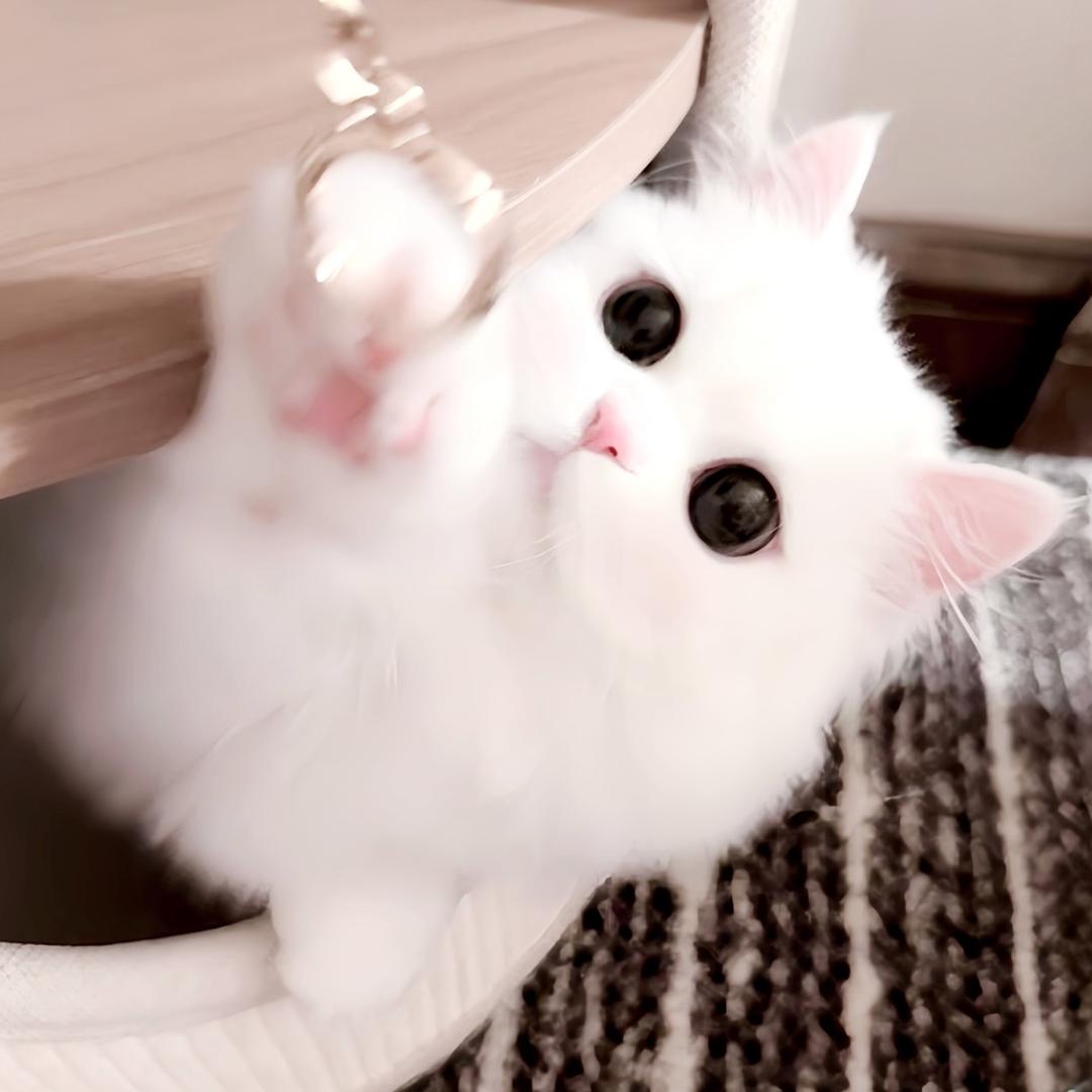 io