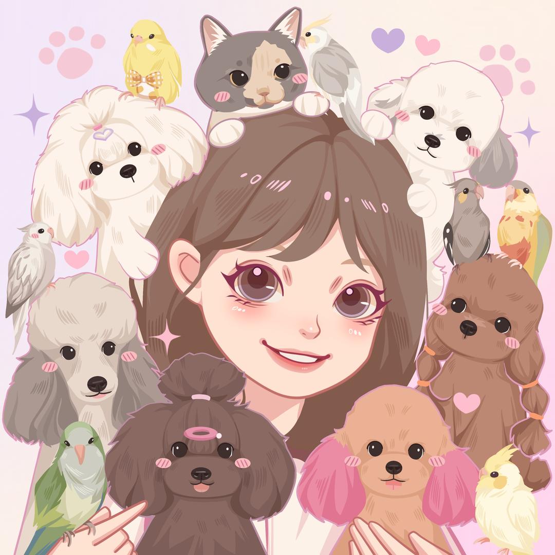 绵阳樱桃味的🐱精品泰迪比熊