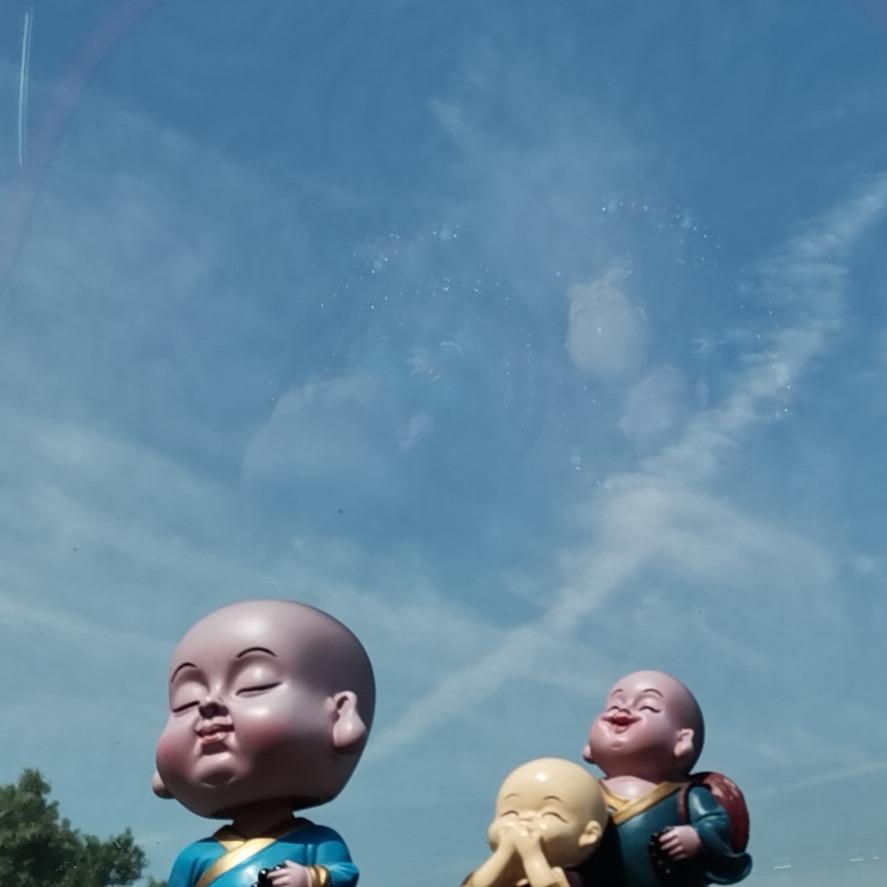 （羊了个杨）运营师