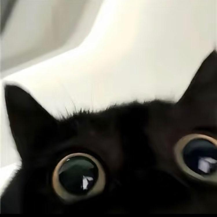 沄