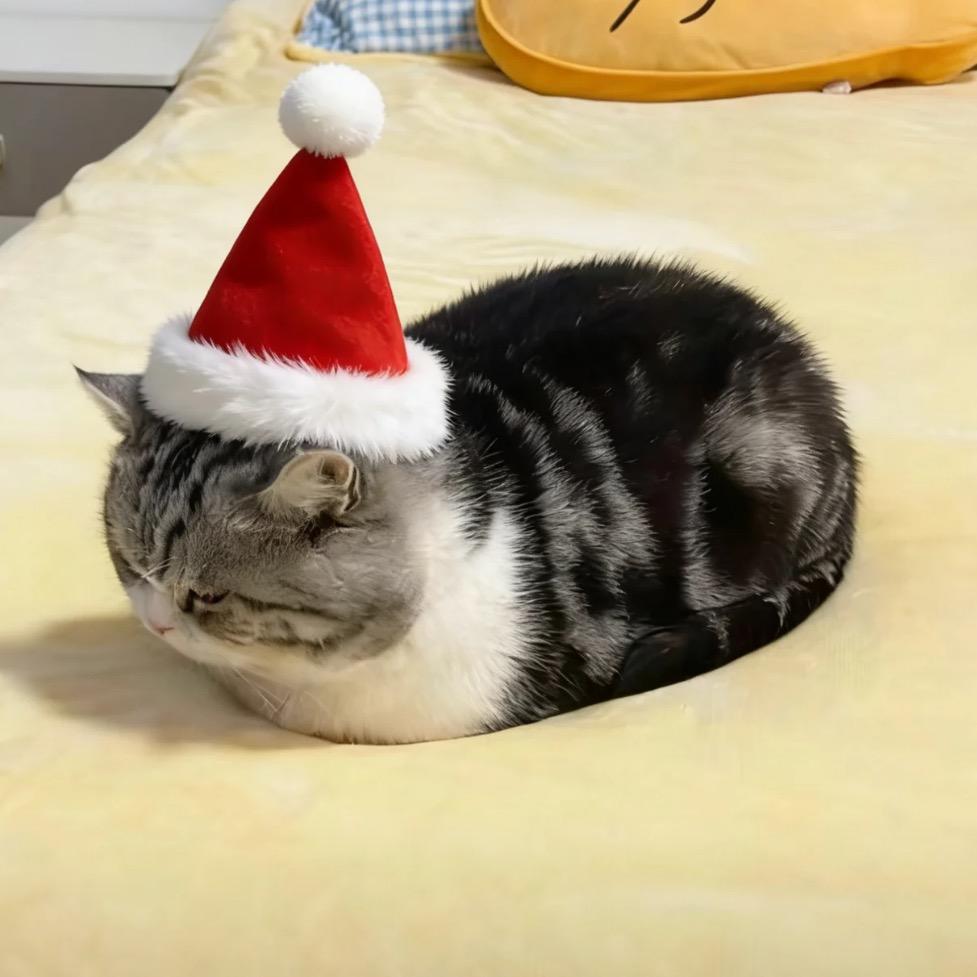 虔
