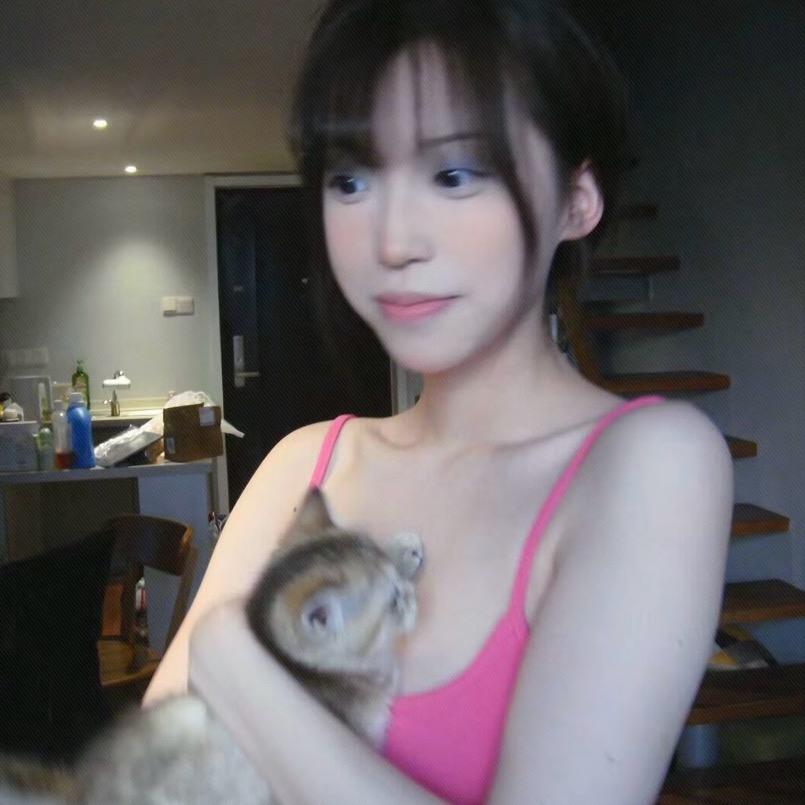 卷卷卷毛狗