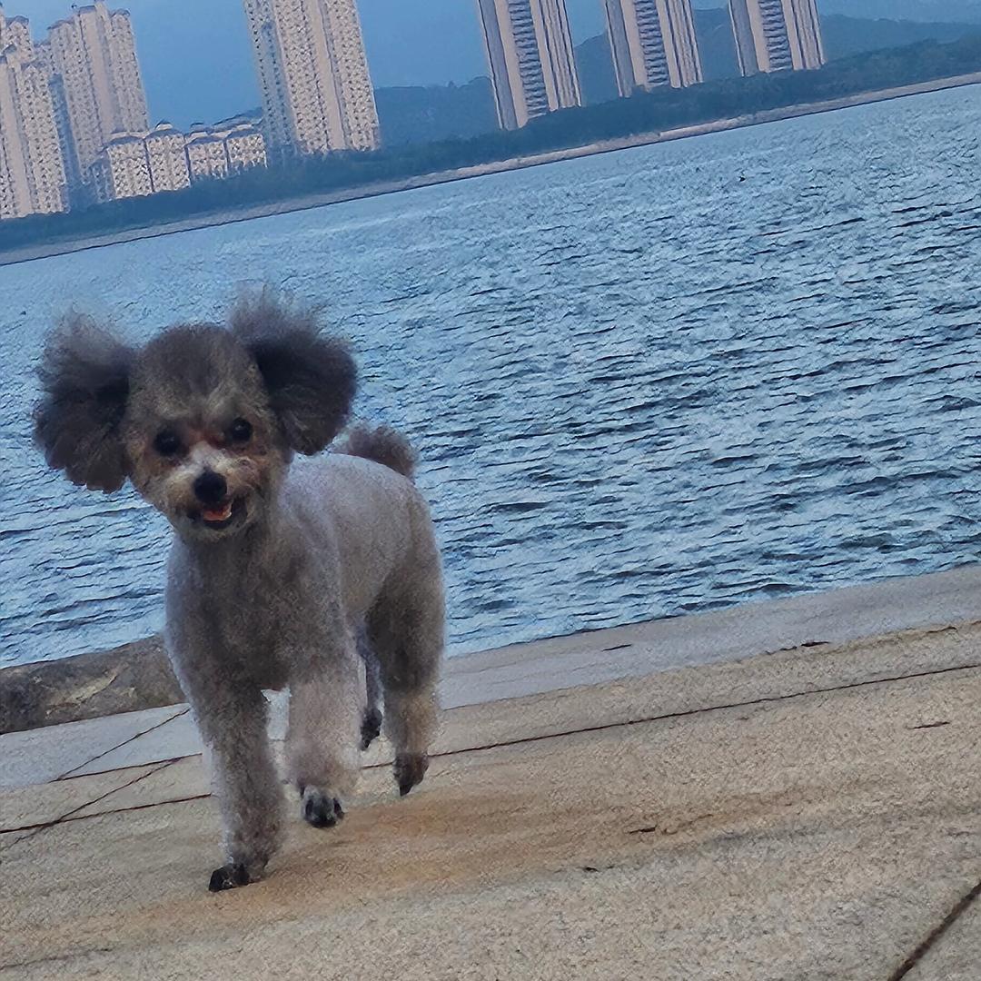 琪琪 微胖胖🤓