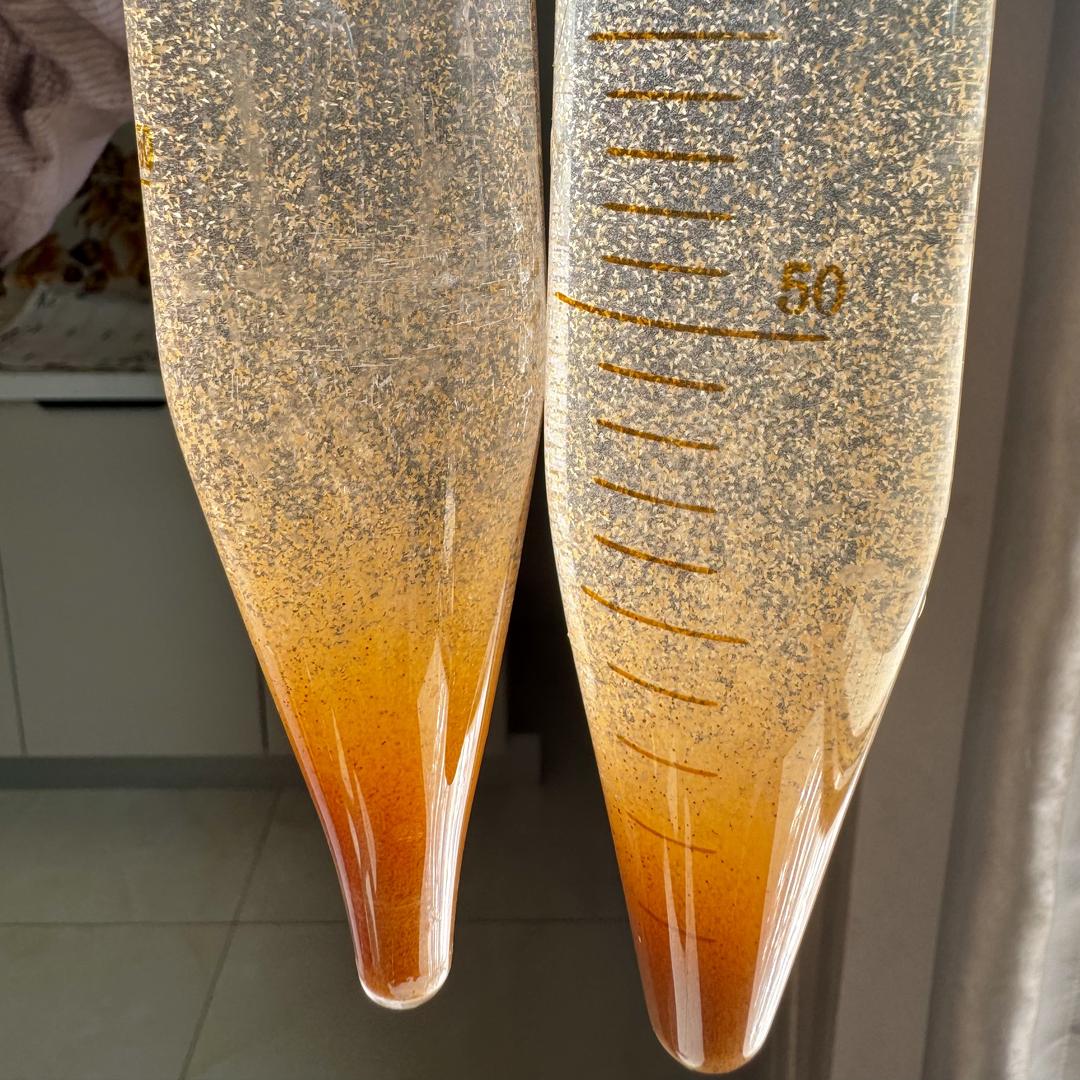 丰年虫卵搬运工