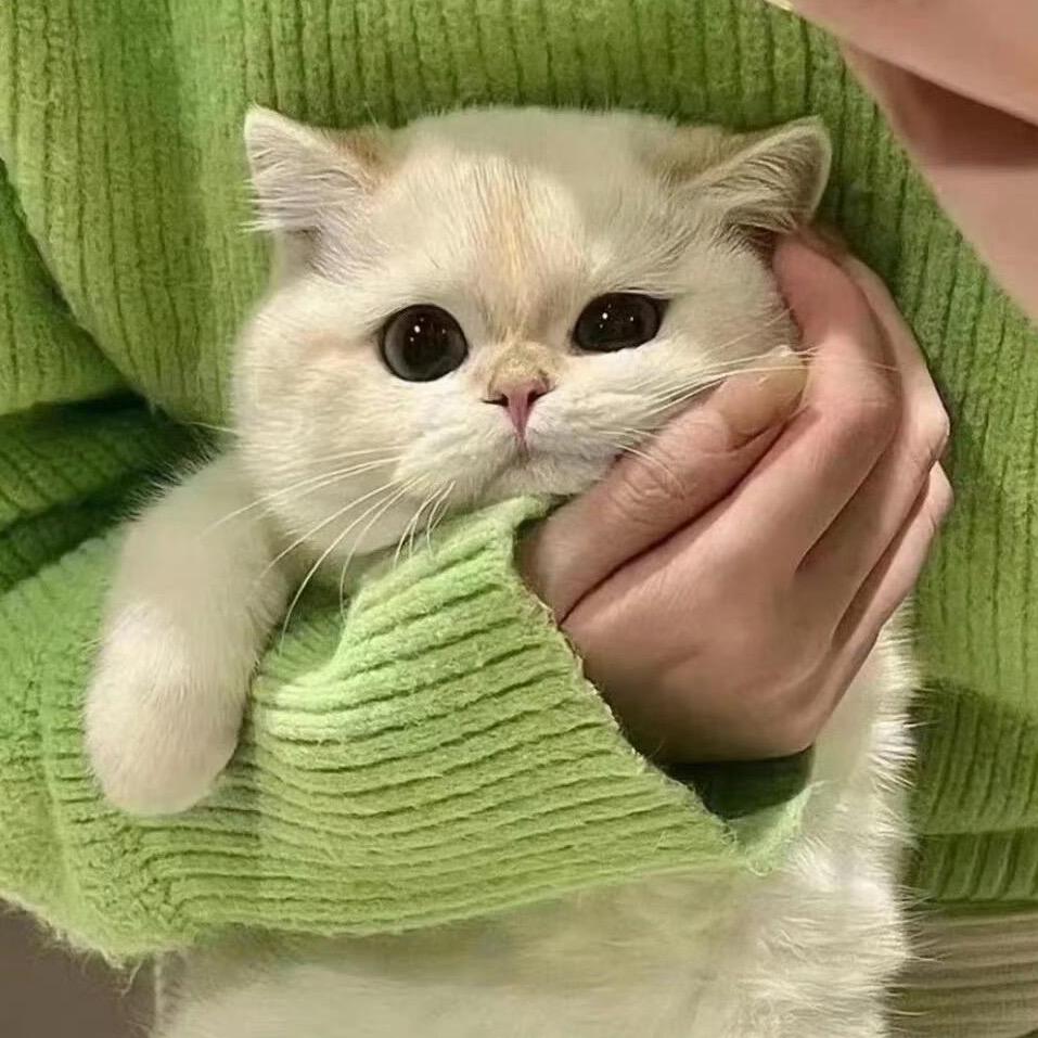 方什么方