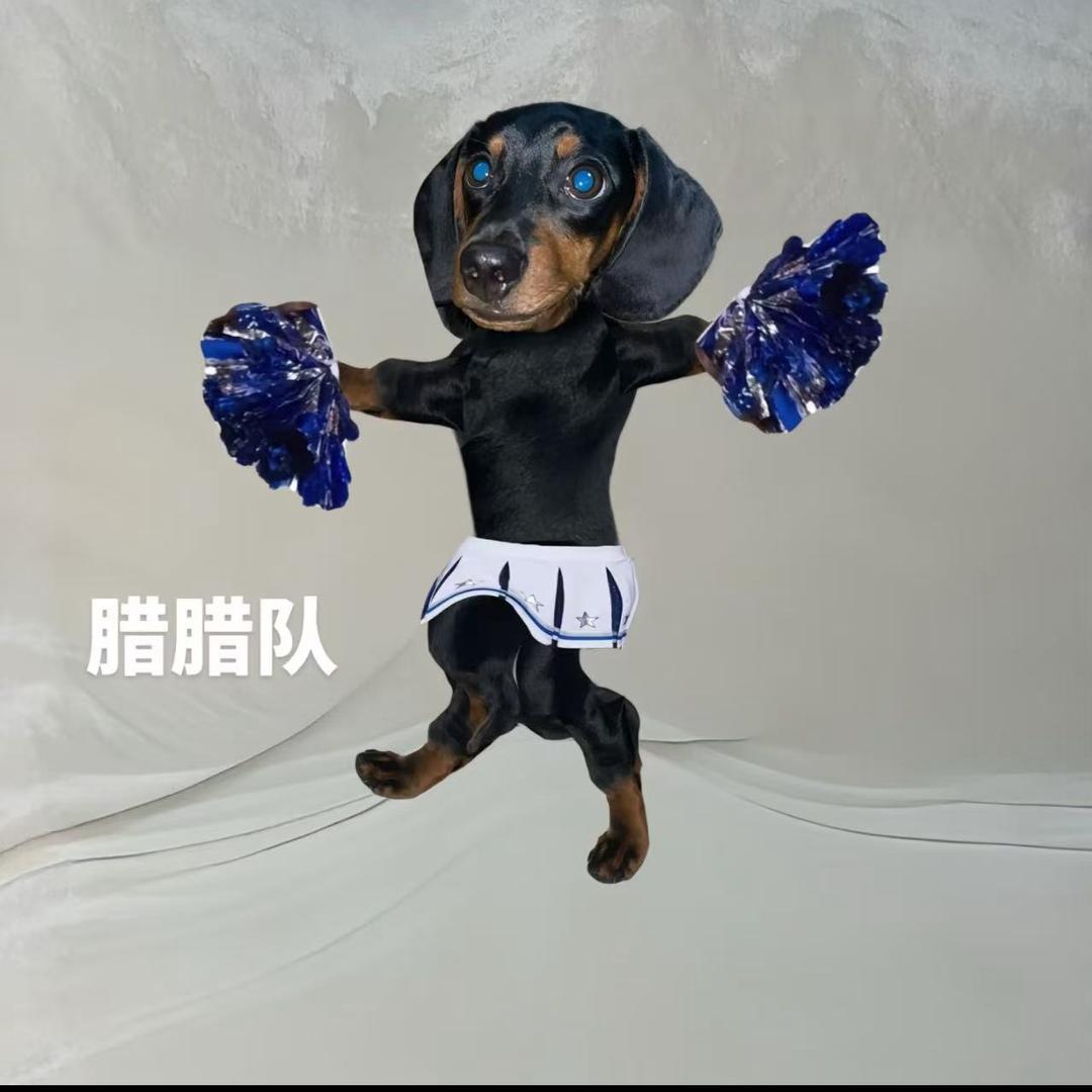 腊腊优选
