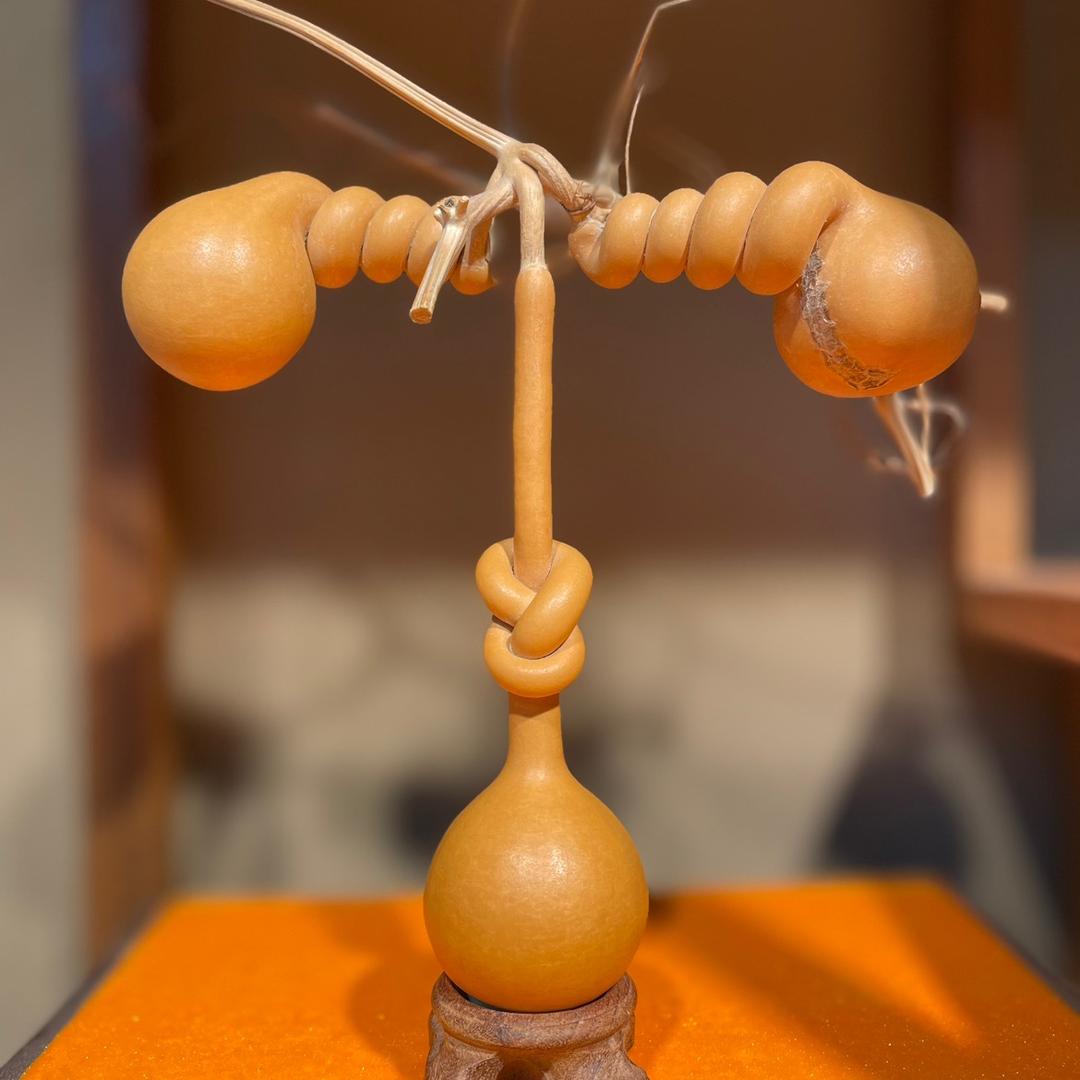 阿伟葫芦园