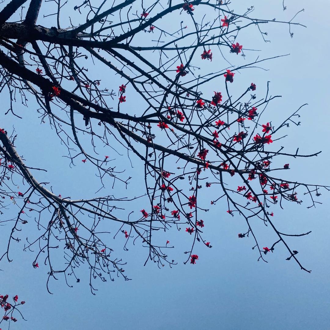 🌈 被星星砸昏头