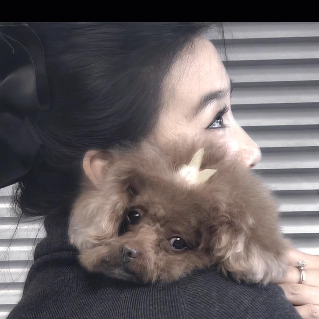 静心💘