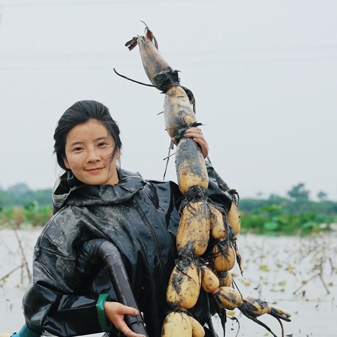 重庆云开东方