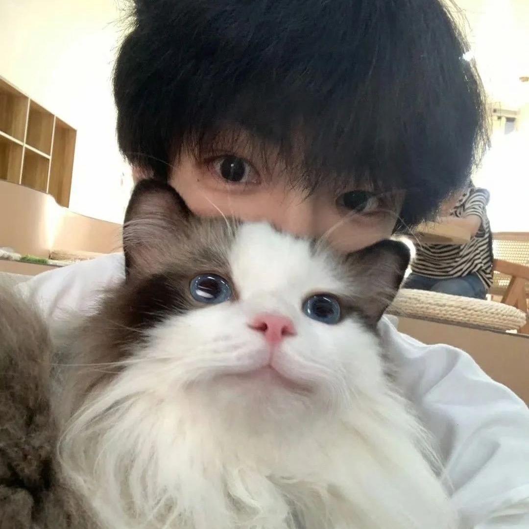 单曲小猫