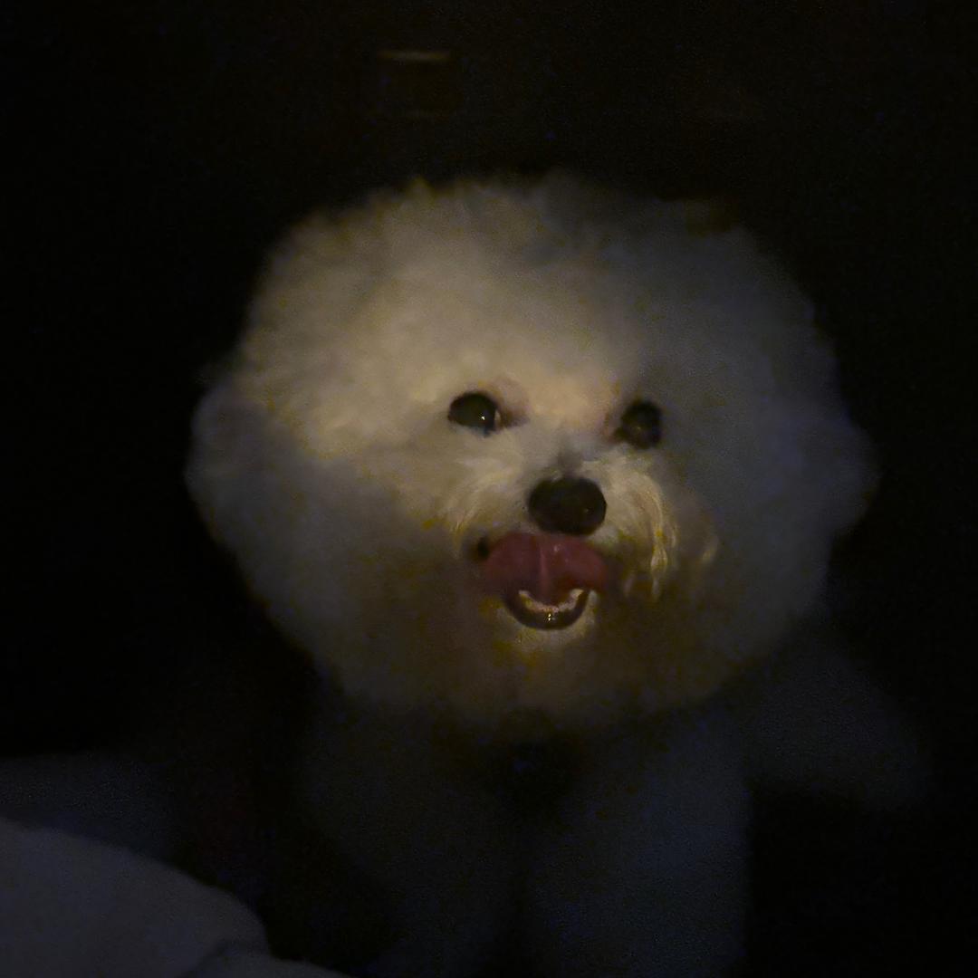 Vero