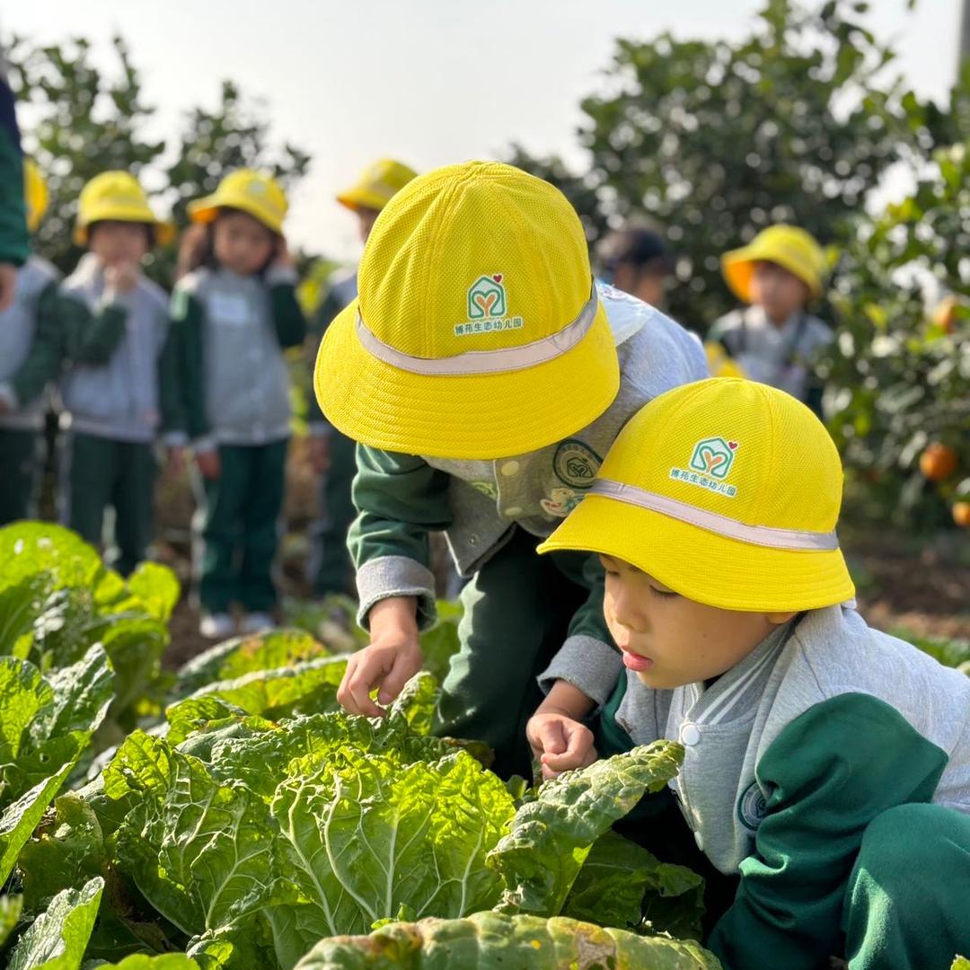 荆州市沙市区博苑生态幼儿园