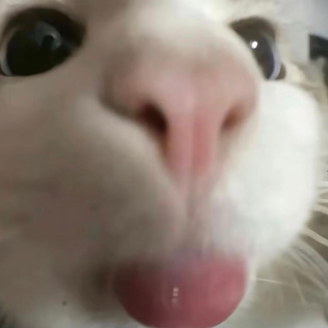 ‍‍‍‍‍‍