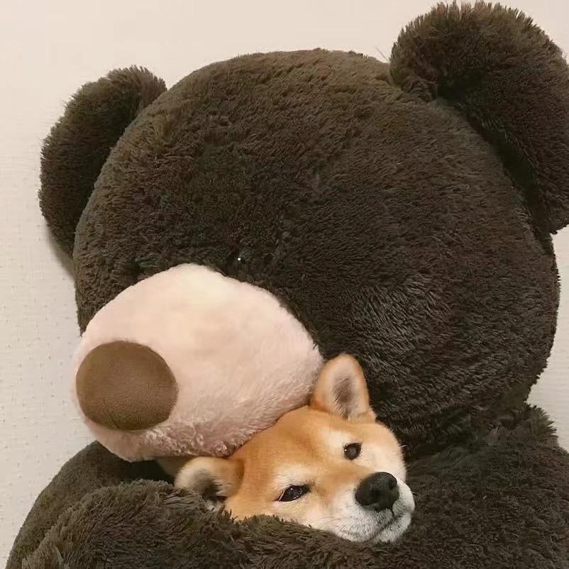 ᥫᩣ浮笙若梦