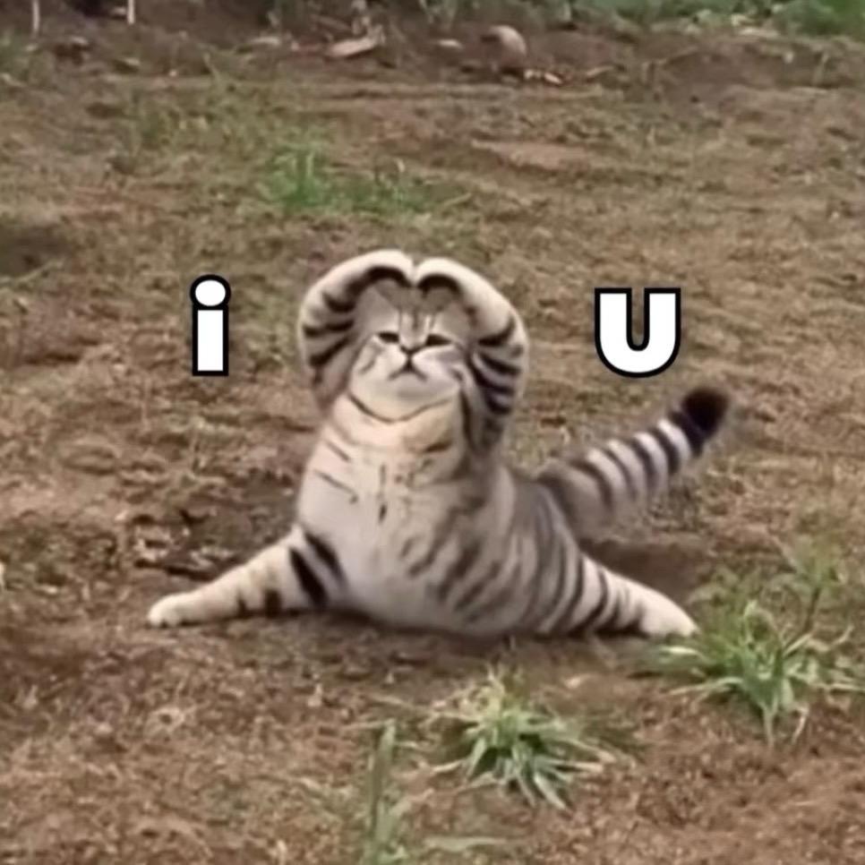 辣辣辣辣辣条味极鲜😈