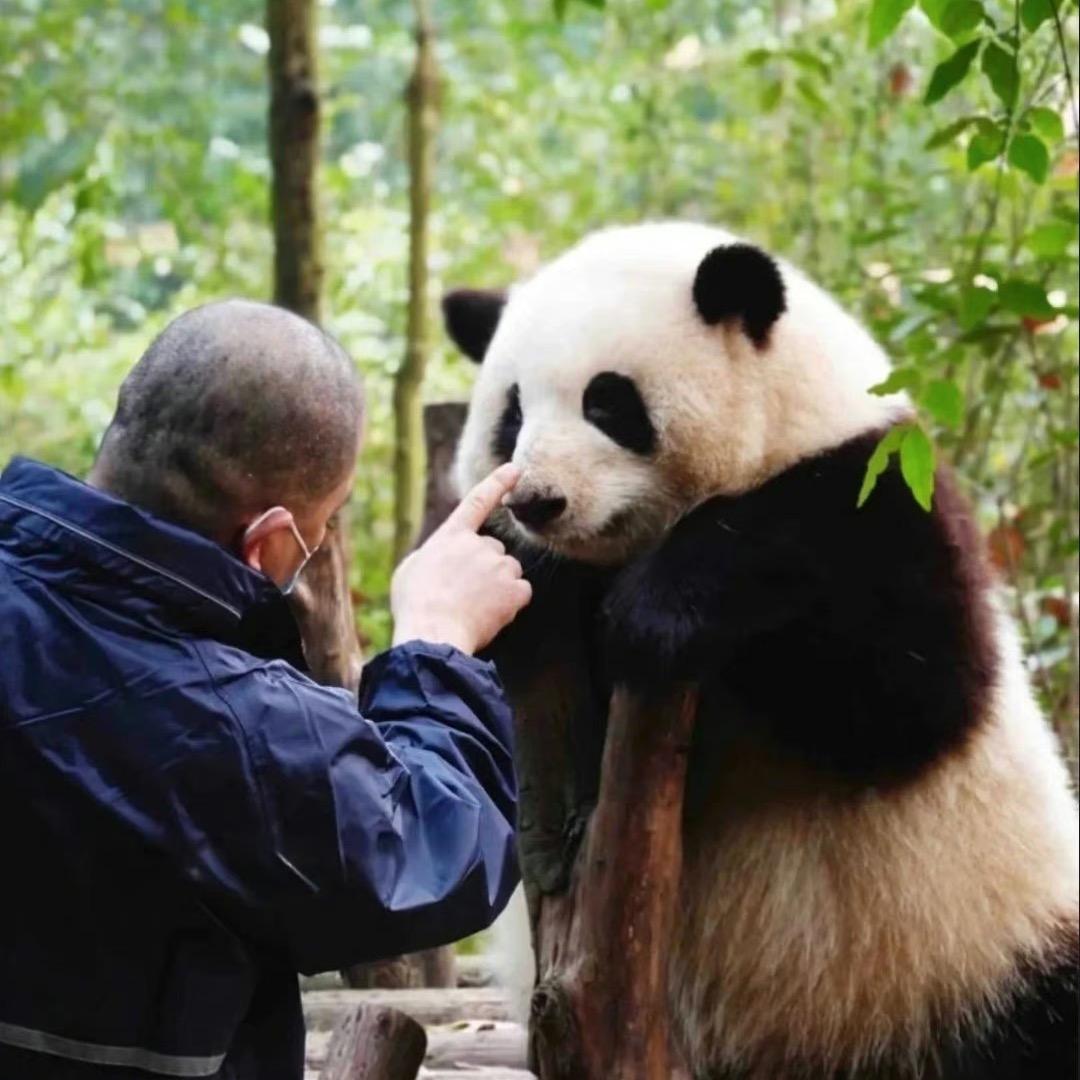 杨富贵儿