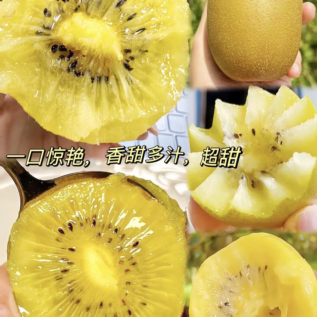 四季鲜果源头供应