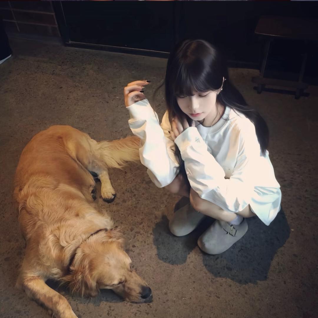 一朝相识白日思
