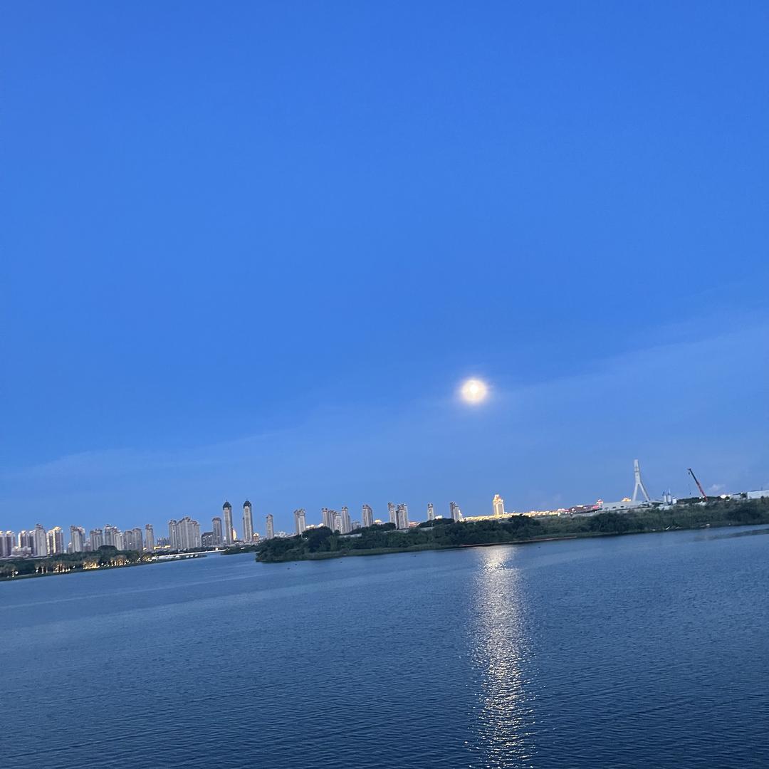 鹤鸿鑫