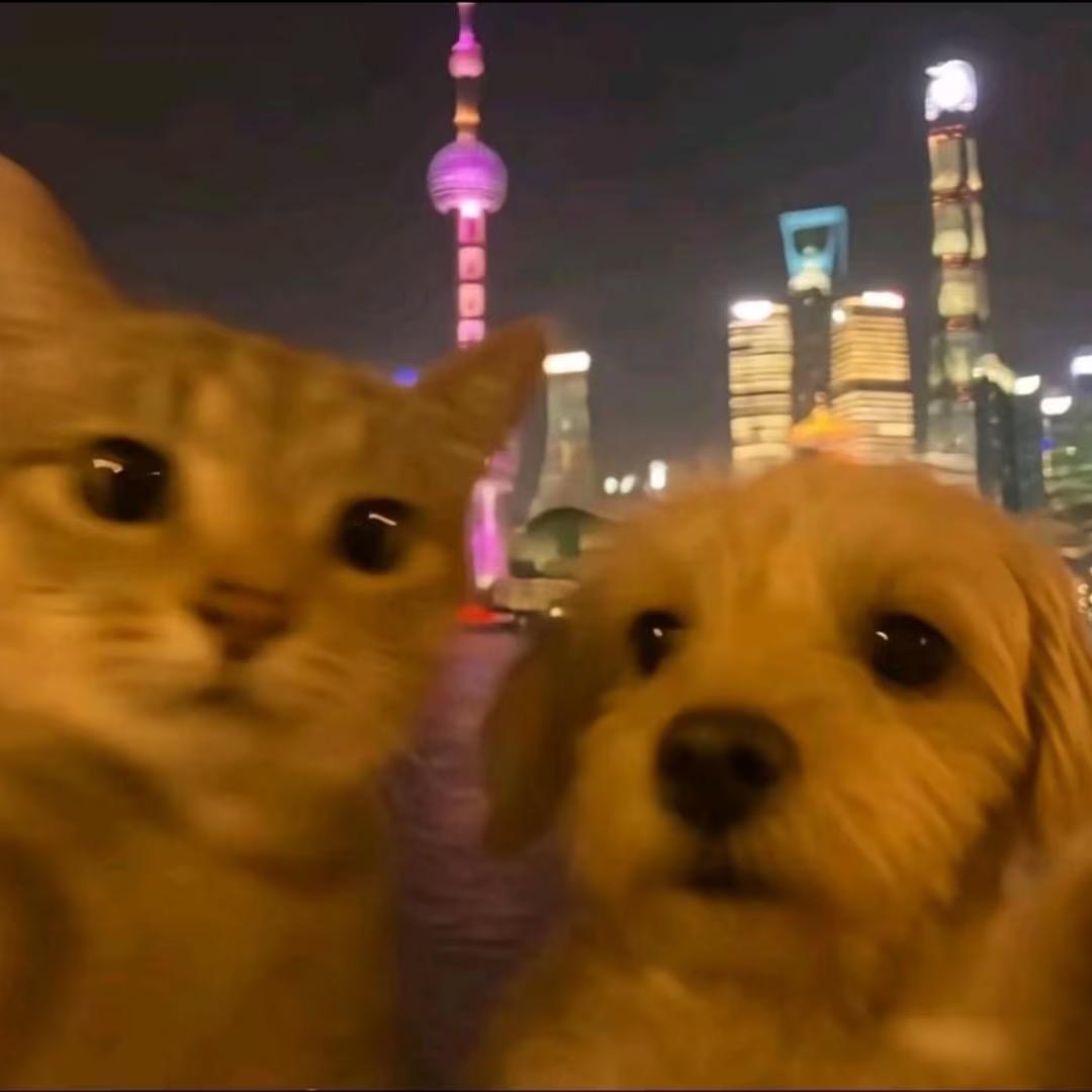 东北最后的深情