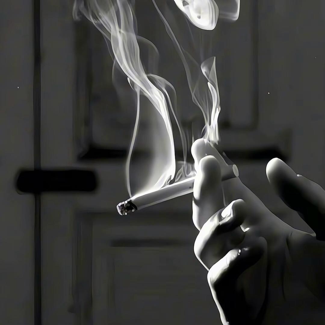 刺猬的拥抱
