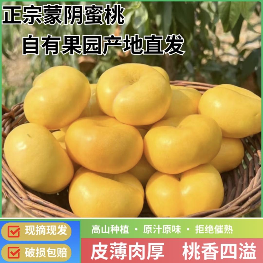 鸿博自家桃园蜜桃
