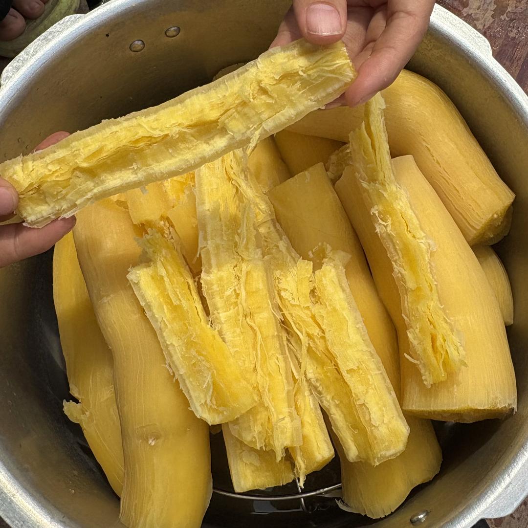 果泳湾寻铭果树苗木专卖店木薯直播号