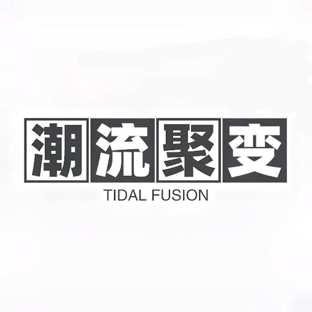 潮流聚变