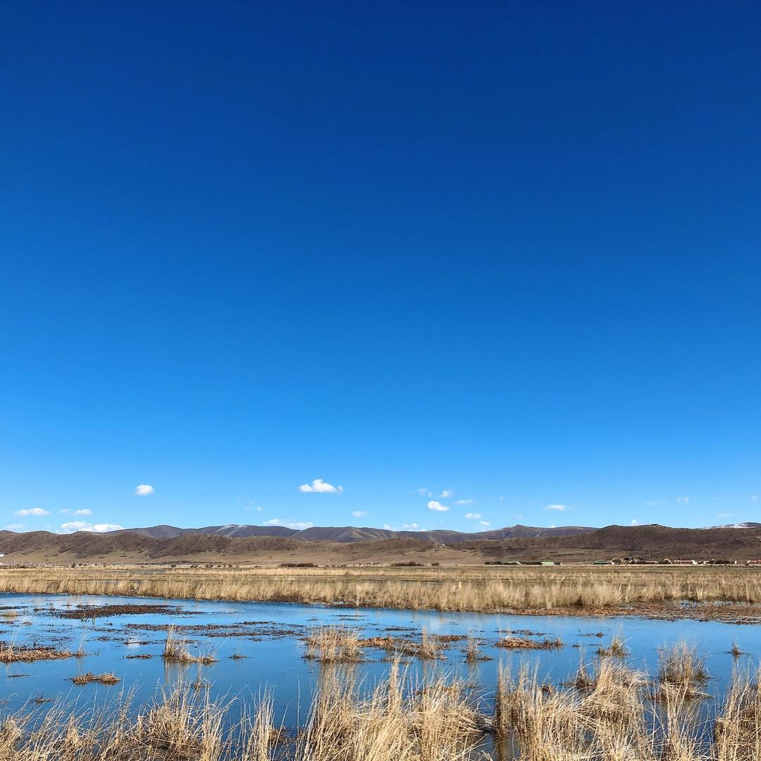 成都租房@小屋直租