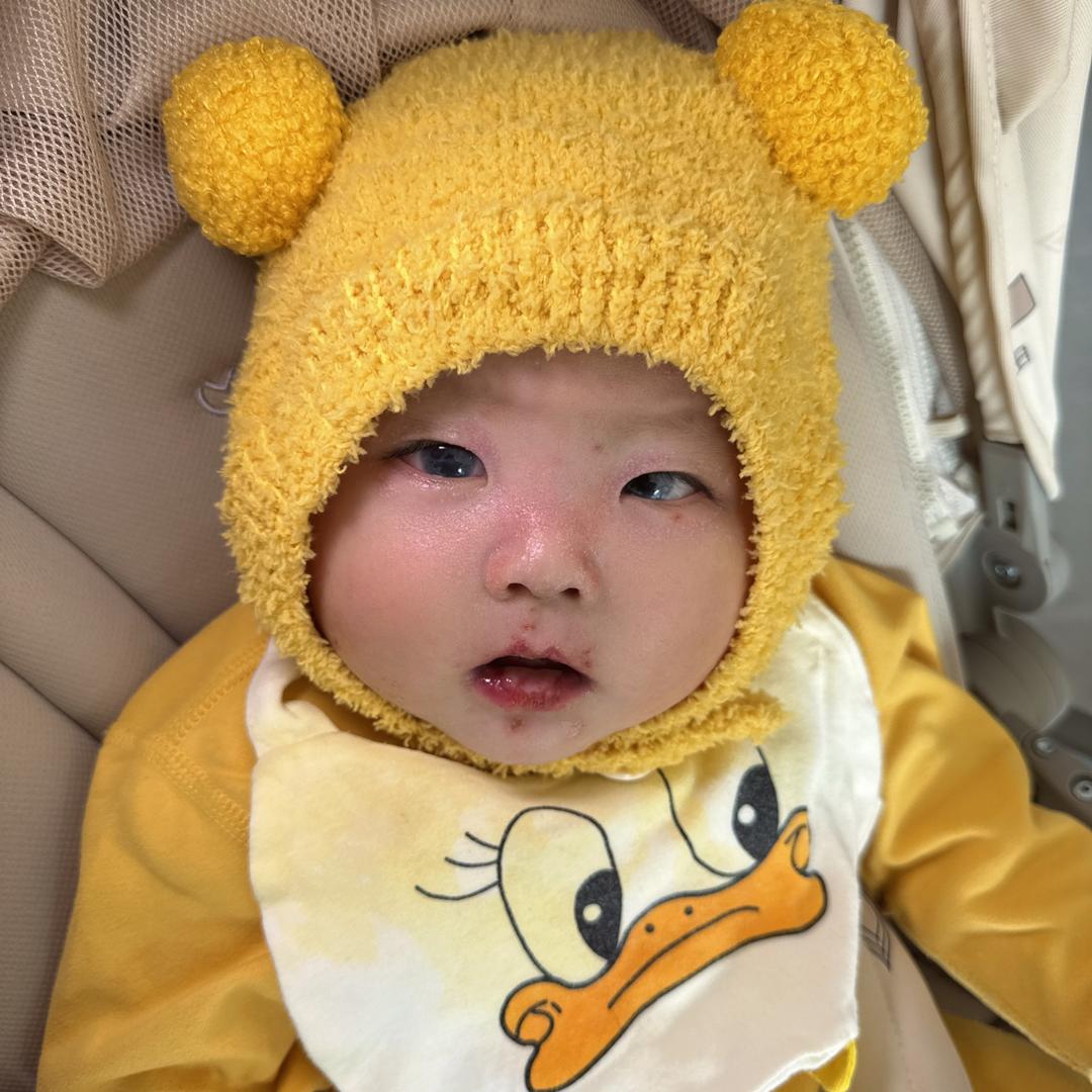 小石头（蝴蝶宝贝）