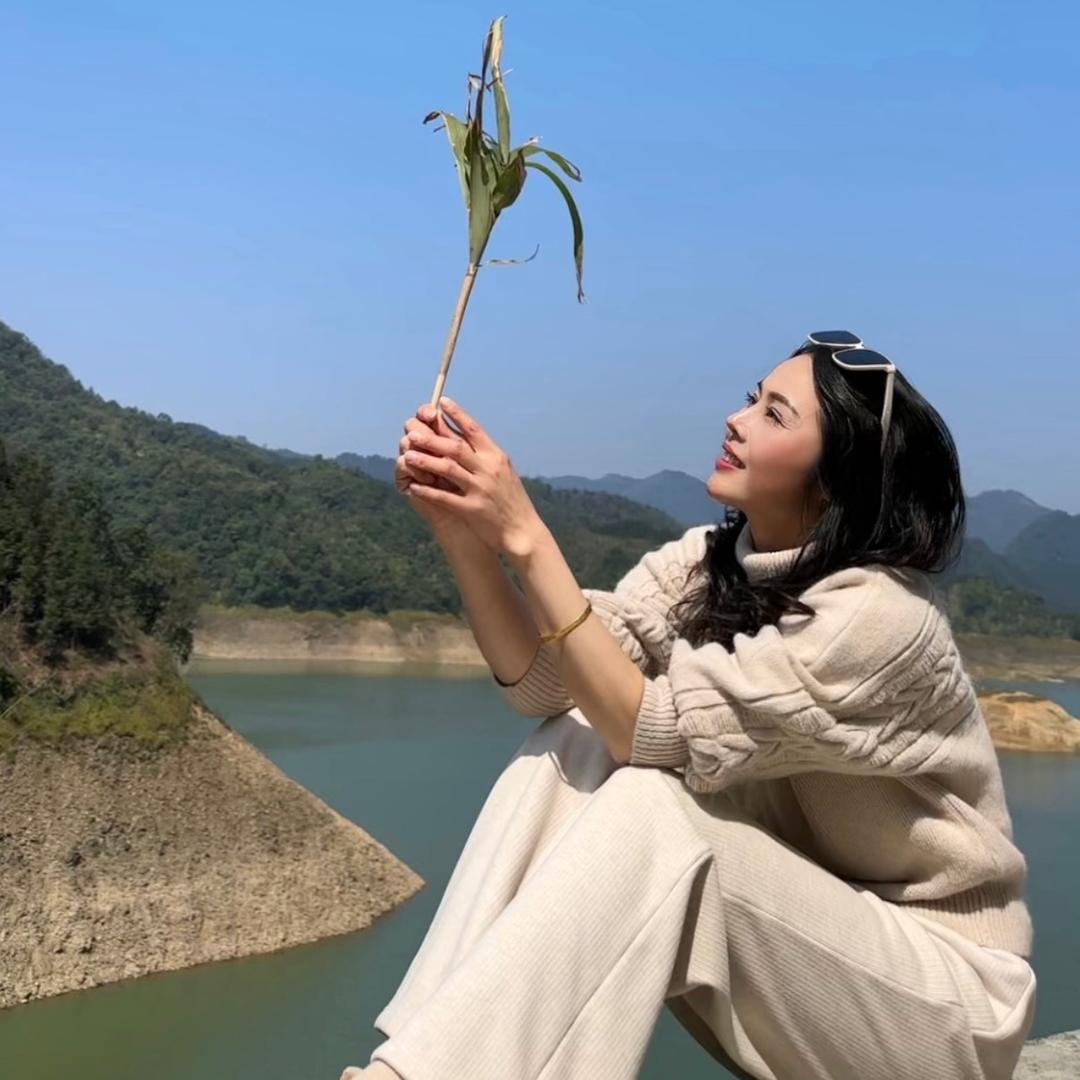静观其变