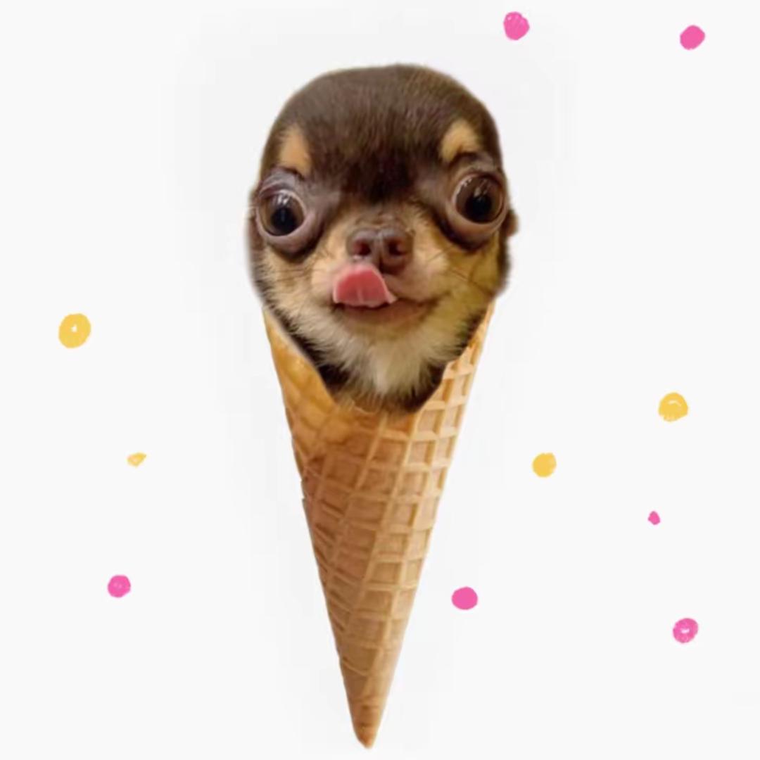 ^冷白皮洗袜袜喜欢在天台吃拼好饭🍂