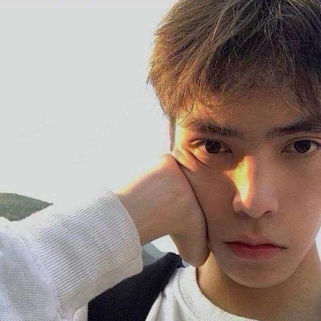北方刘德华