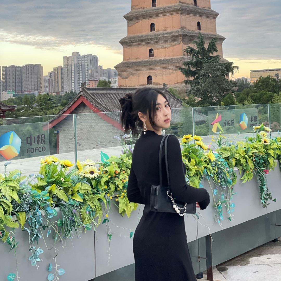 一只小浣熊
