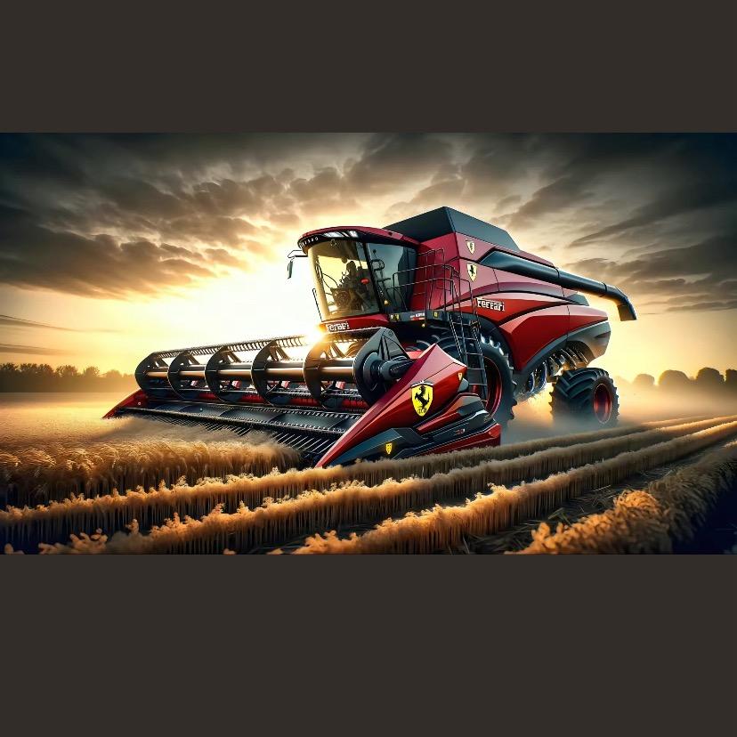 颜值团队、010号