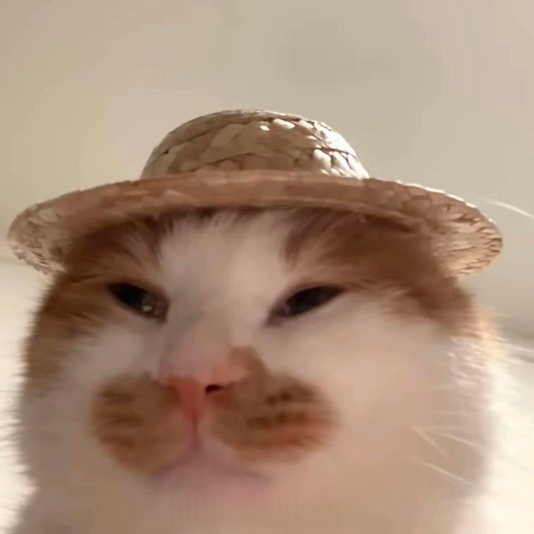 oui