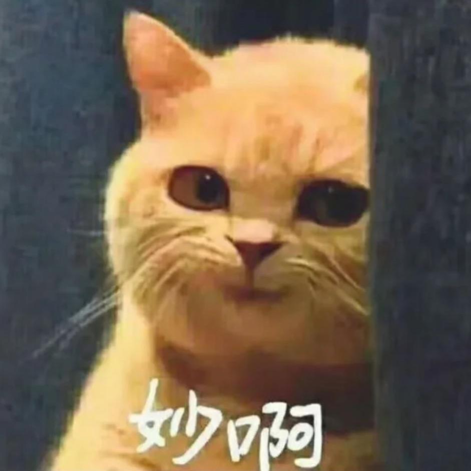 香菜蘸酱 🍃